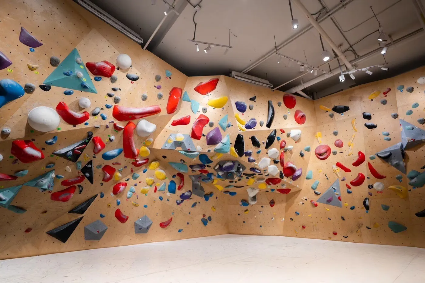 Balance Climbing Rama 9