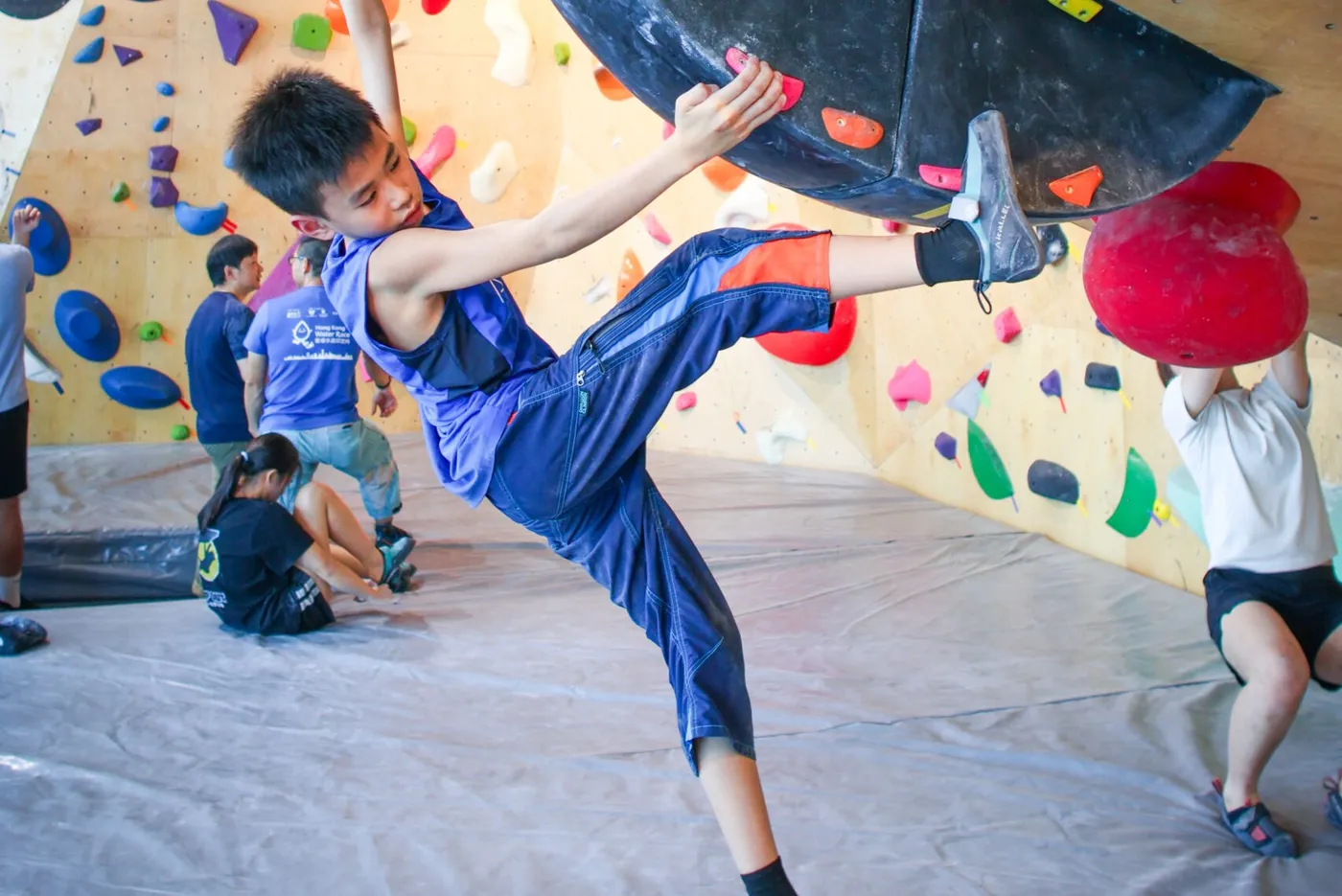 Butterfly Climbing Gym