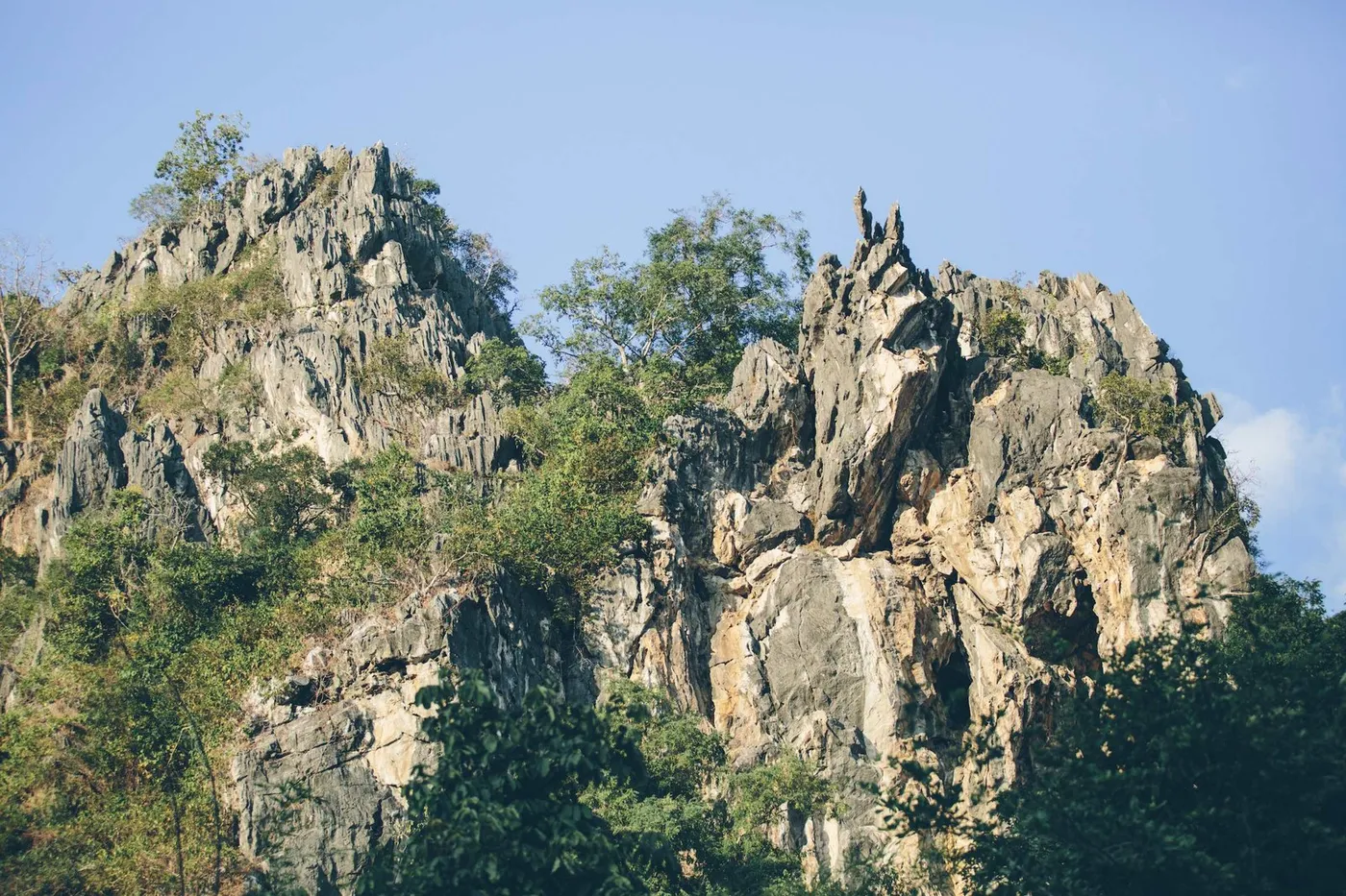 Chiang Mai Rock Climbing Adventures (CMRCA)