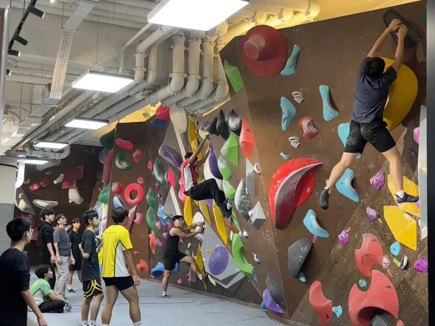 Tanuki Bouldering