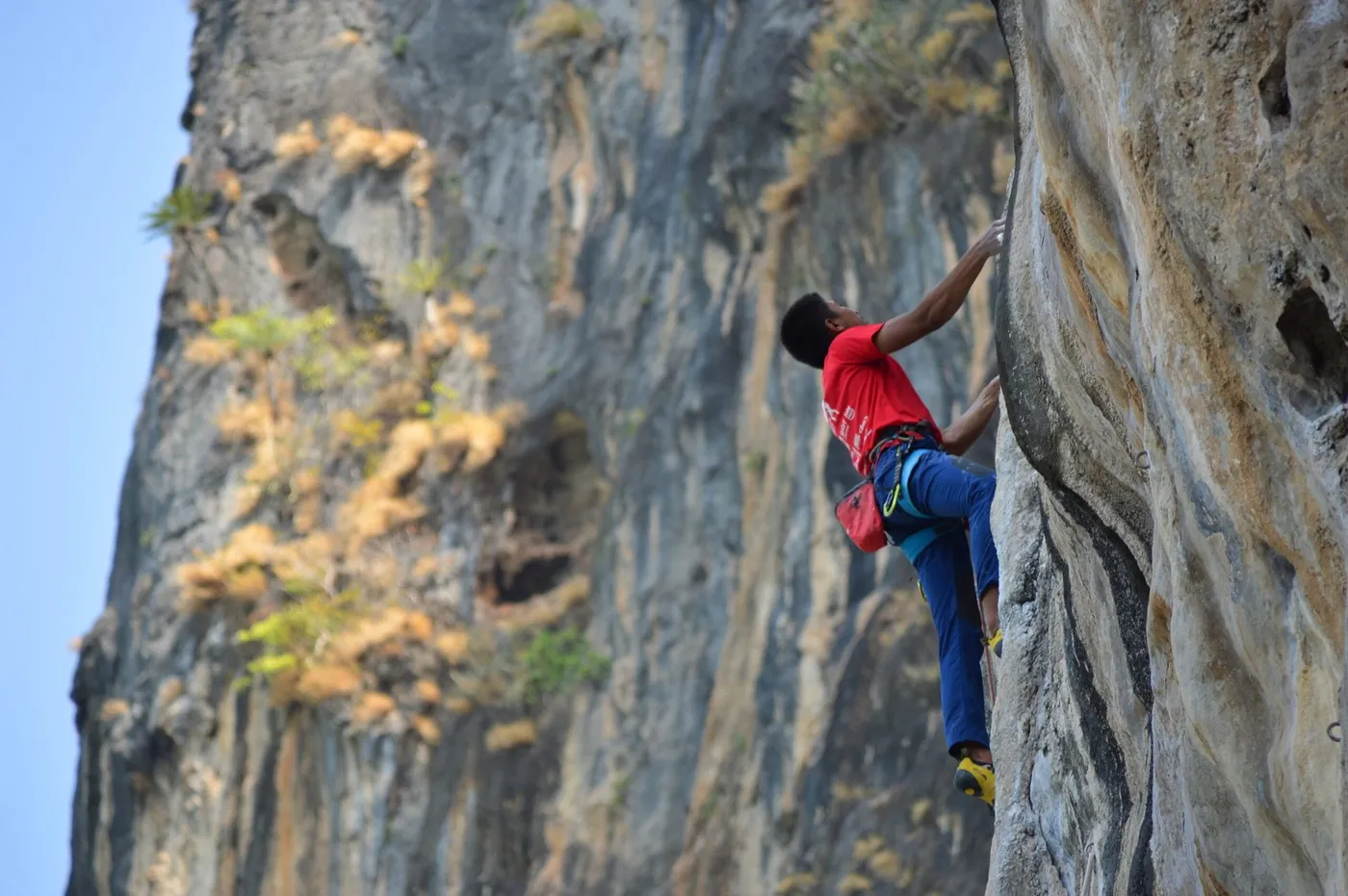 The Rock Shop