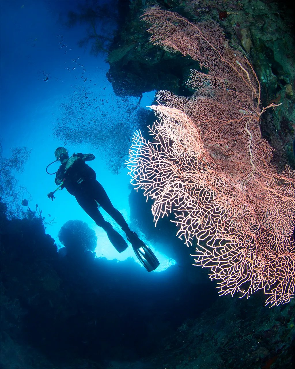 Easy Divers Bali — PADI 5 Star Eco Dive Resort in Pemuteran