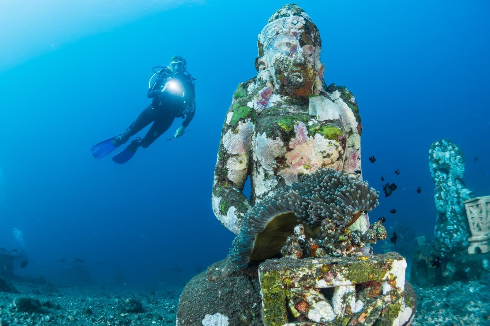 Jukung Dive Bali — Amed PADI 5 Star Dive Resort
