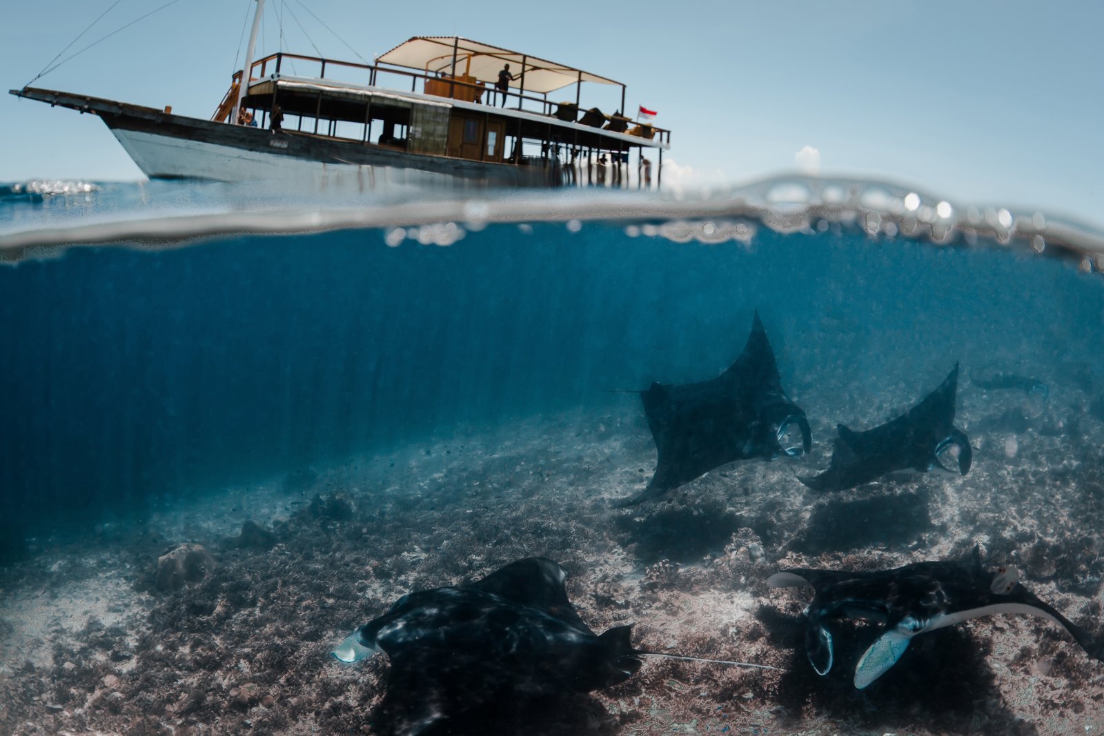 Manta Rhei Dive Center — Labuan Bajo Komodo