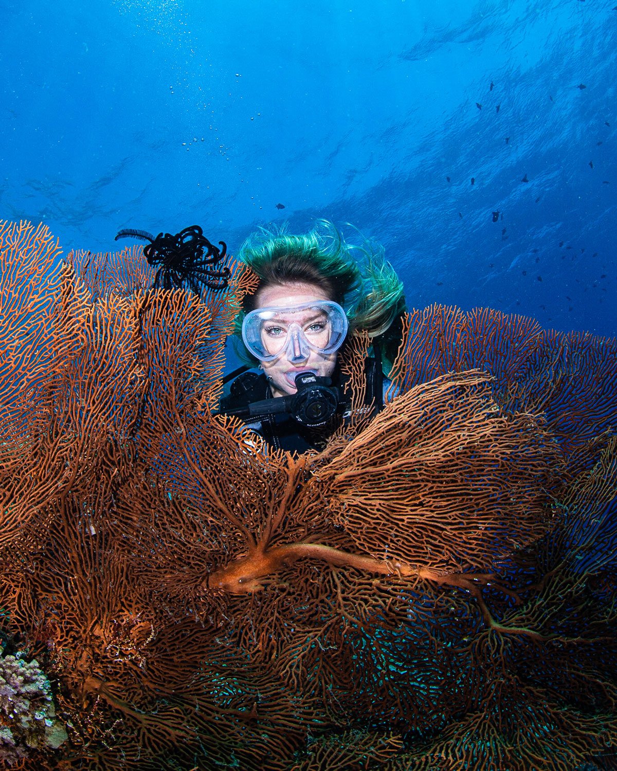 Mimpi Resort Menjangan Dive Centre — PADI Dive Resort on the Mimpi Channel, 30 Minutes from Menjangan Island