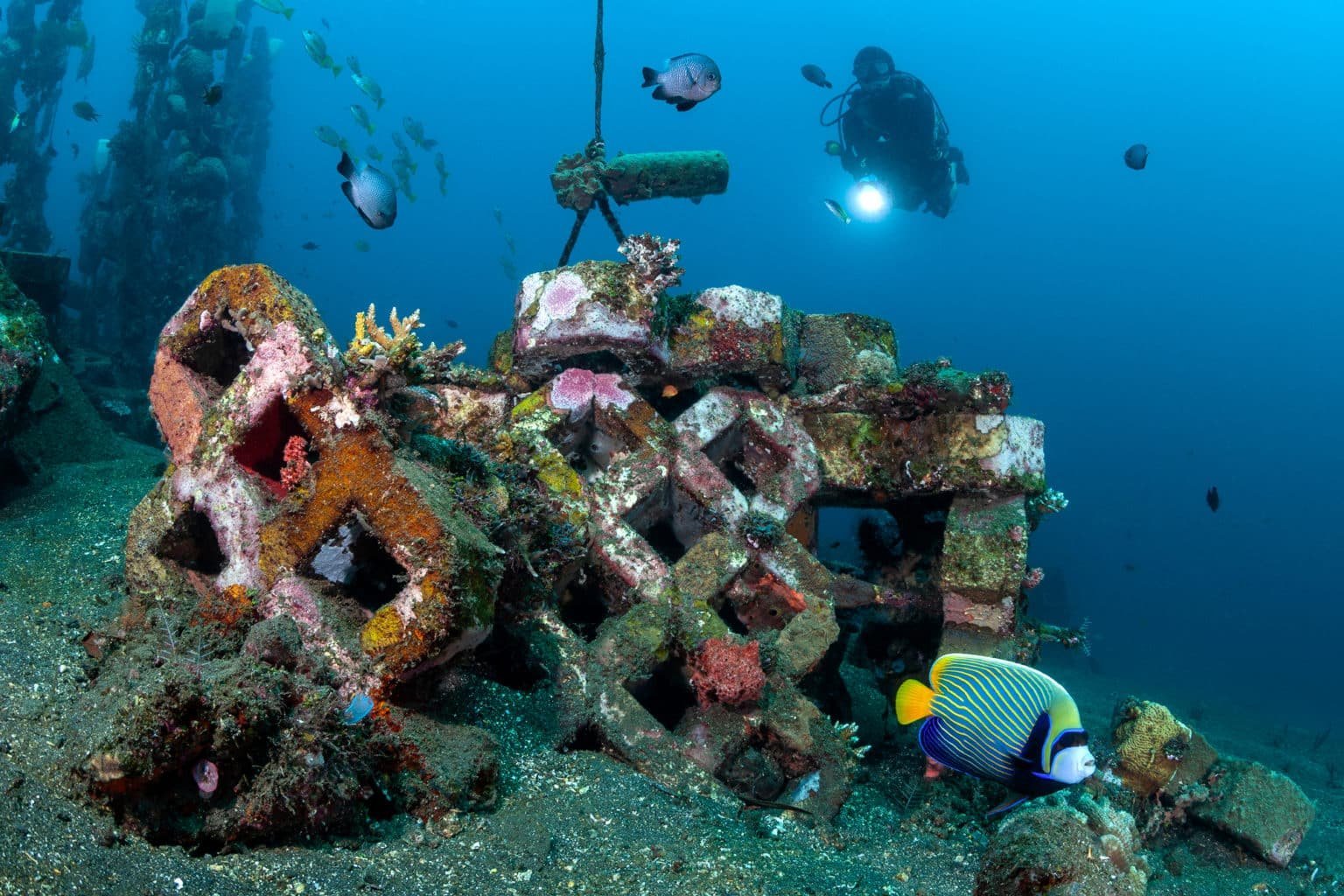 Siddhartha Dive Center — SSI Resort Dive Centre with the Kubu House Reef and Boga Wreck, Tulamben