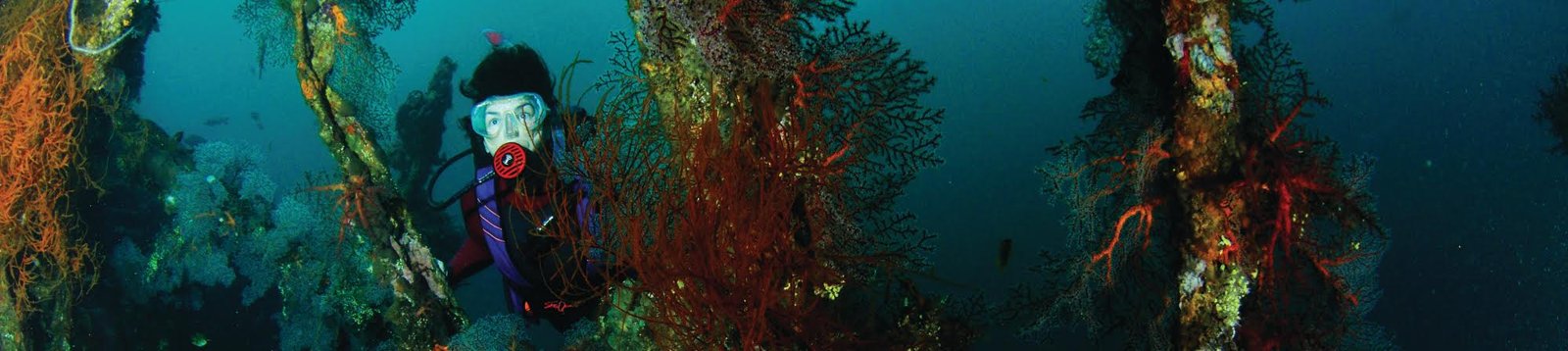 Tulamben Wreck Divers — PADI 5 Star Dive Resort by the USAT Liberty