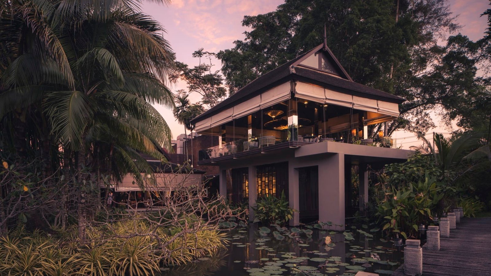 Tree House