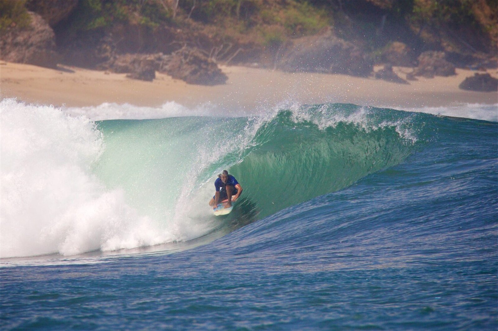 Whales & Waves Resort