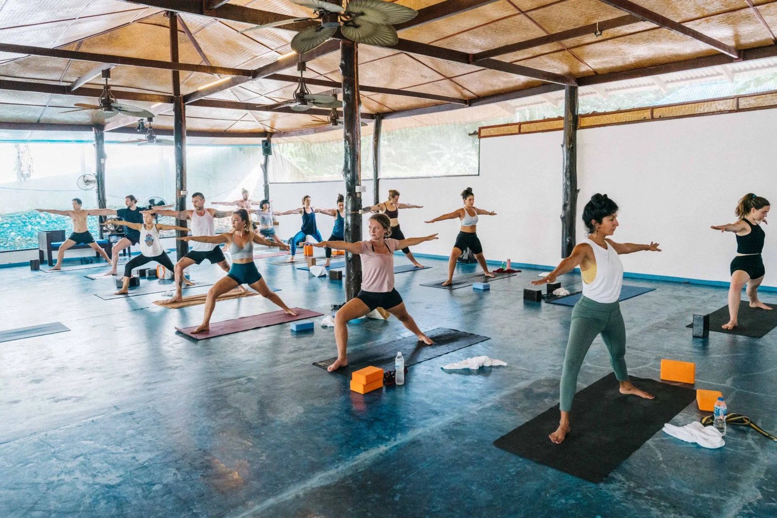 Ananda Yoga & Detox Center