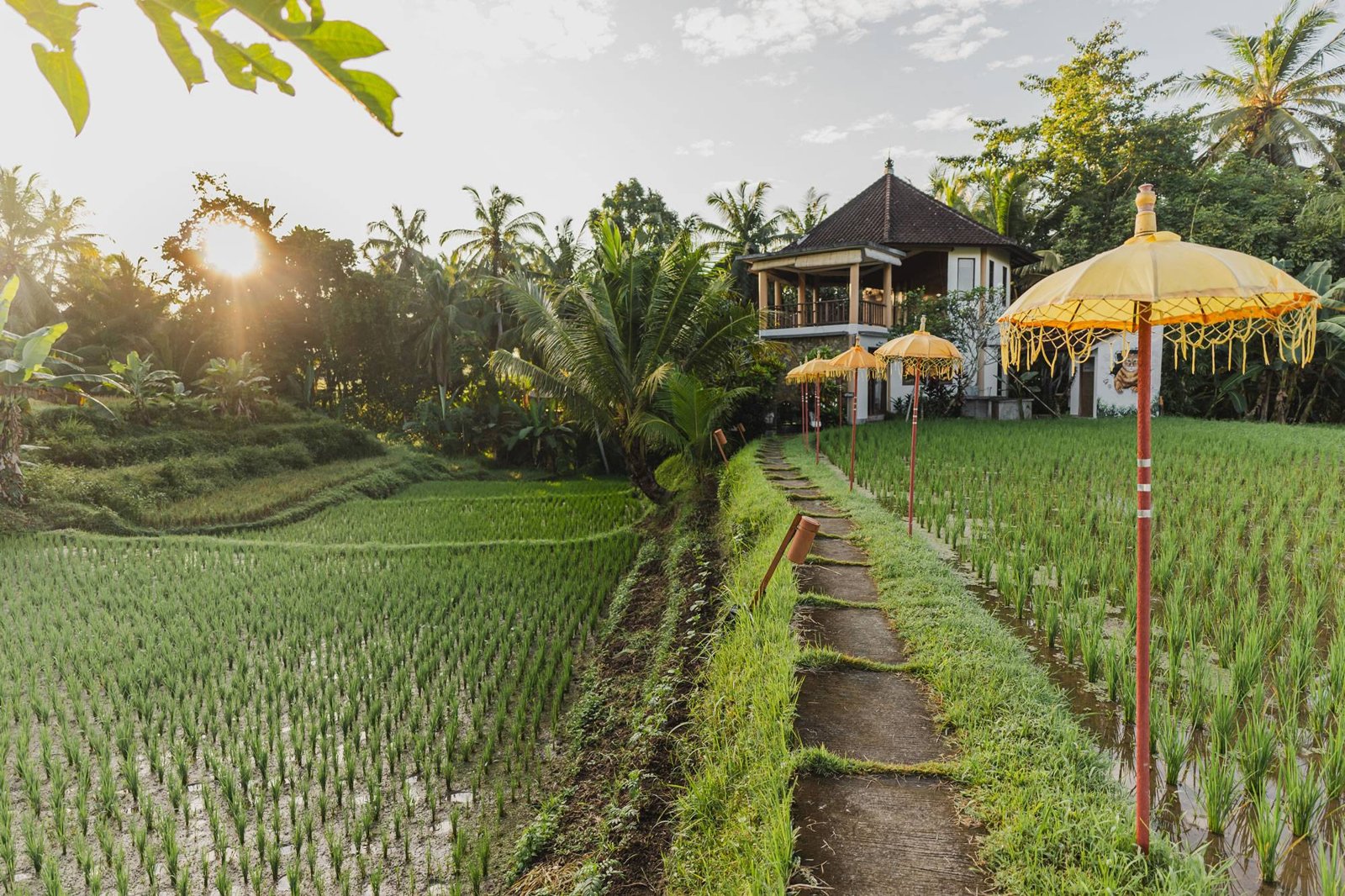 Ubud Yoga House — 200-Hour Multi-Style YTT, Ubud